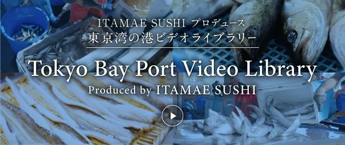 港動画ライブラリー